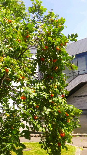 180(W)×320(H) 59.72