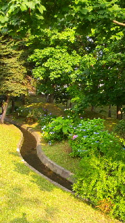 180(W)×320(H) 58.26