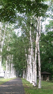 180(W)×320(H) 51.07