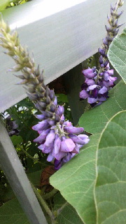 180(W)×320(H) 34.93