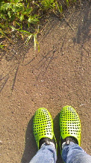 180(W)×320(H) 53.88