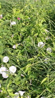 180(W)×320(H) 60.16