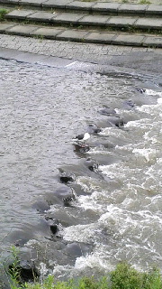 180(W)×320(H) 41.76