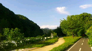 320(W)×180(H) 36.85