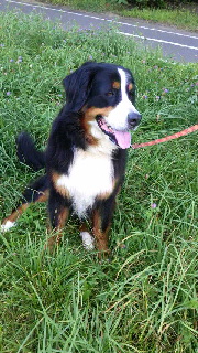 ファイル名: 2016081406530000.jpg
ファイルサイズ: 52.88KB 180(W)×320(H) 52.88