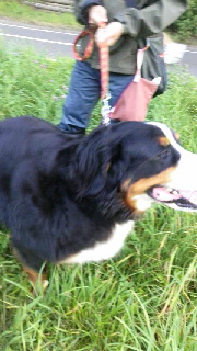 ファイル名: 2016081407020000.jpg
ファイルサイズ: 40.04KB 180(W)×320(H) 40.04