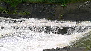 320(W)×180(H) 34.72