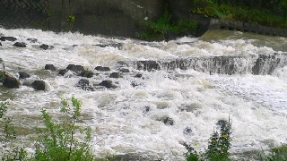 320(W)×180(H) 40.13