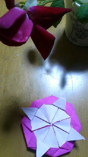 180(W)×320(H) 30.74