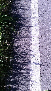 180(W)×320(H) 50.63