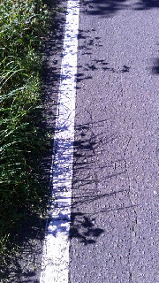 180(W)×320(H) 50.52