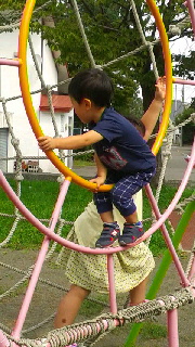 180(W)×320(H) 50.87