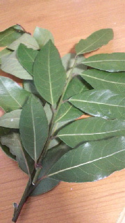 180(W)×320(H) 30.21