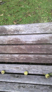 180(W)×320(H) 40.65