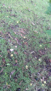 180(W)×320(H) 53.67