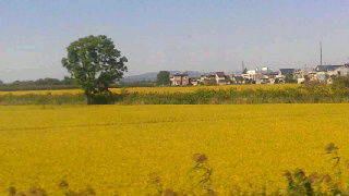 320(W)×180(H) 27.38