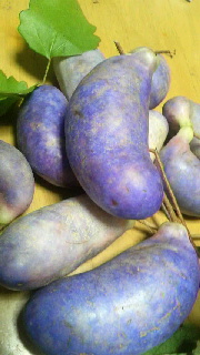 180(W)×320(H) 35.02