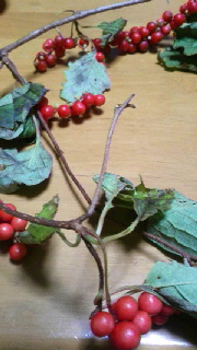 180(W)×320(H) 37.01