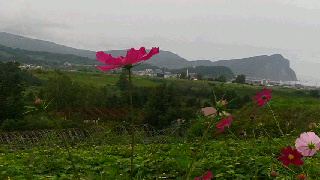 320(W)×180(H) 31.53