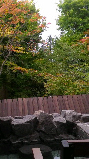 180(W)×320(H) 42.92