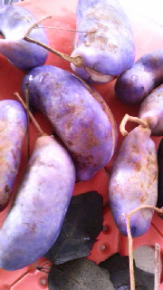 180(W)×320(H) 35.88