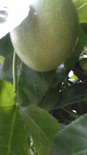 180(W)×320(H) 23.78