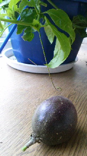 180(W)×320(H) 36.07