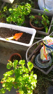 180(W)×320(H) 52.96