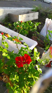 180(W)×320(H) 49.47