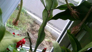 320(W)×180(H) 38.77