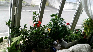 320(W)×180(H) 42.74