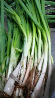 180(W)×320(H) 34.58