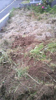 180(W)×320(H) 46.28