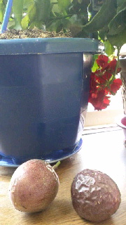 180(W)×320(H) 31.48