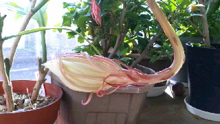 320(W)×180(H) 41.31