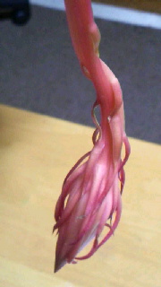 180(W)×320(H) 22.87