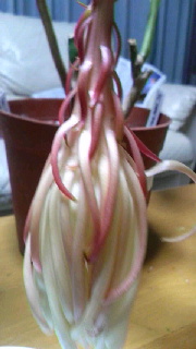 180(W)×320(H) 28.93