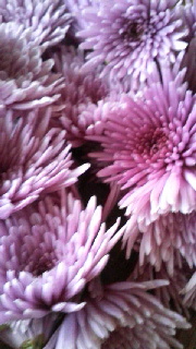 180(W)×320(H) 41.07