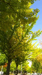 180(W)×320(H) 59.34