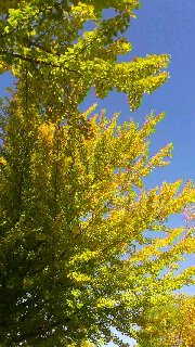 180(W)×320(H) 59.97