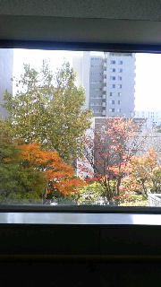 180(W)×320(H) 34.23