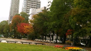 320(W)×180(H) 38.79