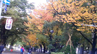 320(W)×180(H) 53.24