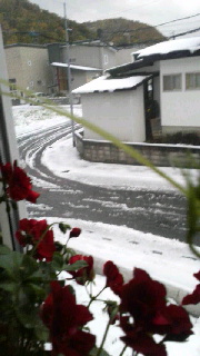 180(W)×320(H) 33.42