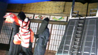 320(W)×180(H) 39.95