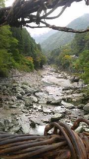 180(W)×320(H) 43.28