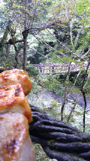 180(W)×320(H) 53.47