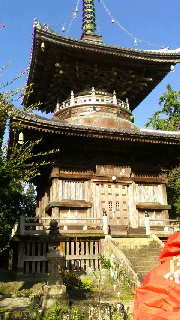 180(W)×320(H) 48.79