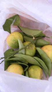 180(W)×320(H) 25.46