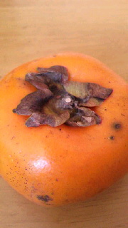 180(W)×320(H) 24.76